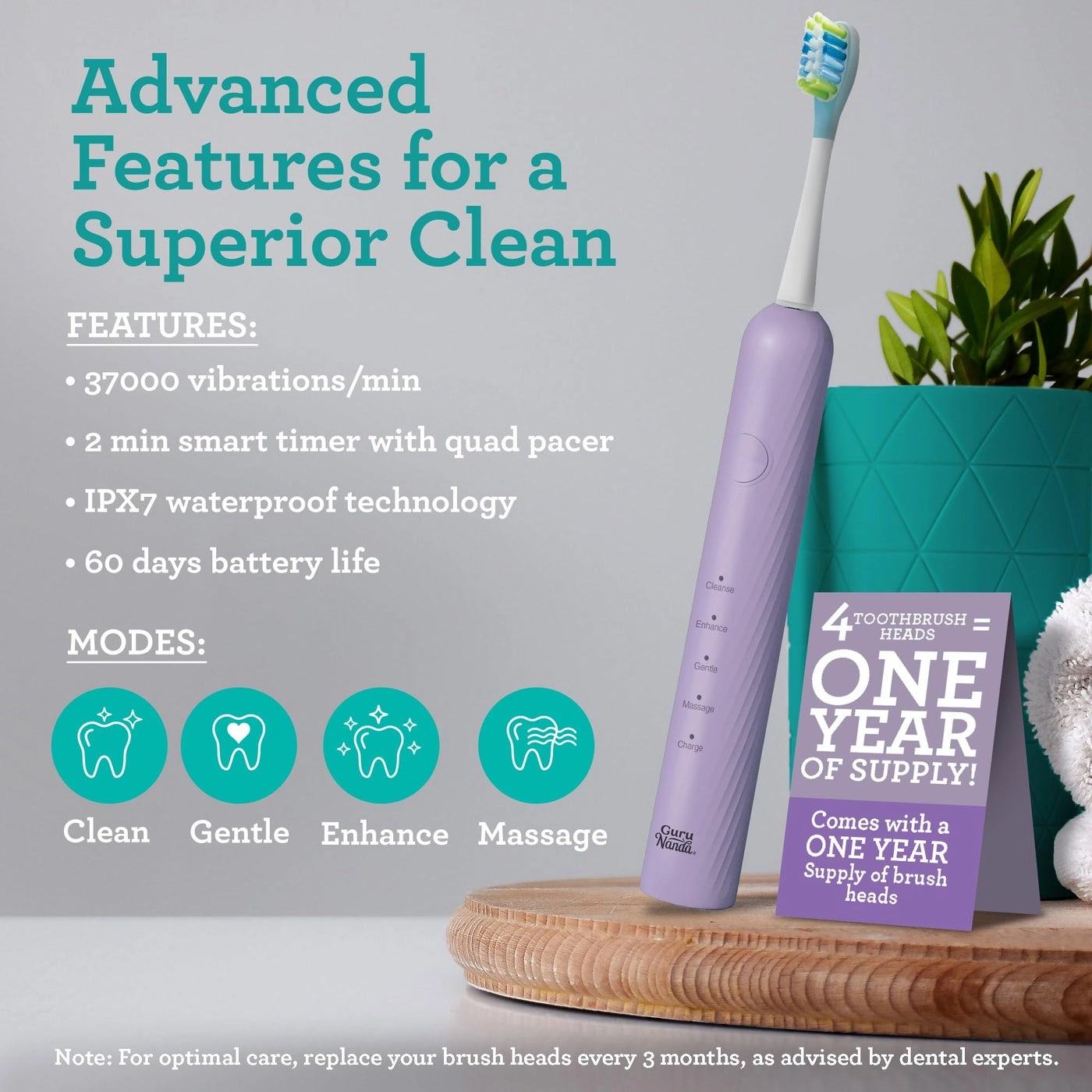 Lion & Lamb Kit 2.0 - 4 Brush Heads Lavender + Water Flosser - 4 Jet Tips IPX7 Waterproof