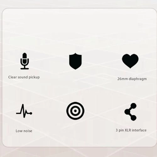 Diaphragm Condenser Studio Microphone XLR Microphone