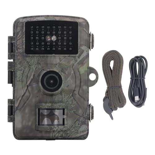 Camera 1080P