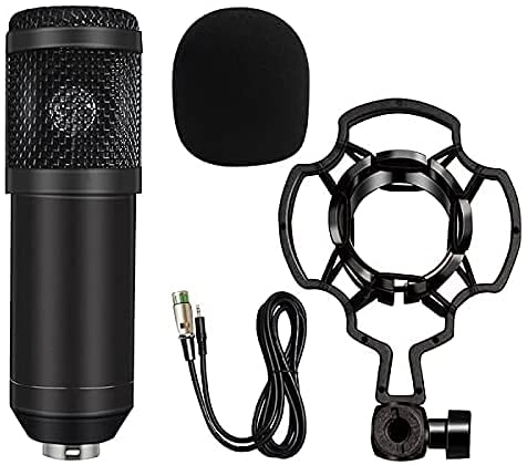 N/R Bm-800 Wired Microphone