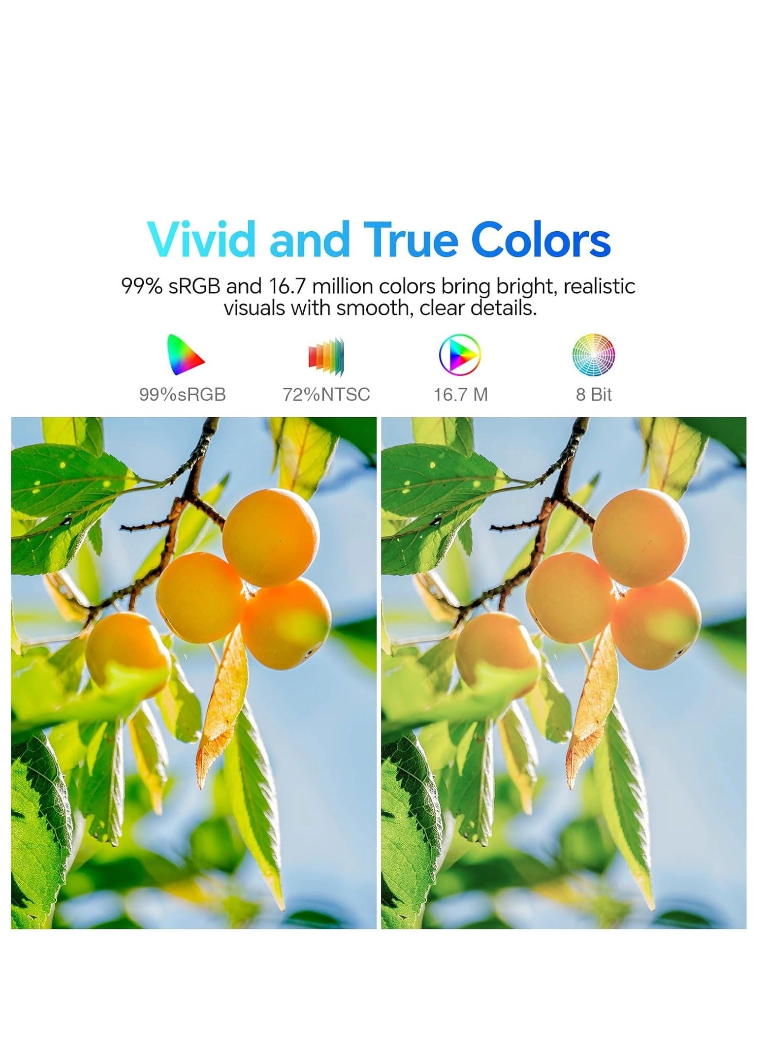 E2212F - 22 in 1080x1920