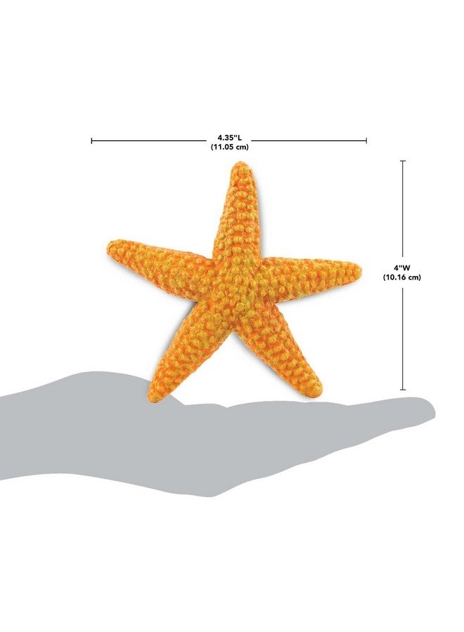 Starfish Figurine