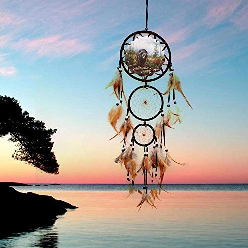 Dreamcatcher - Siderosphere, feathers, lines, wood beads.