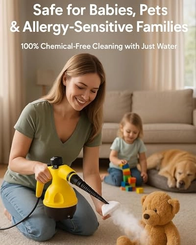 Portable Steam Cleaner