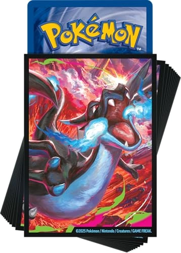 Mega Charizard X-ex - Two Holographic Promo Cards 18 Pokmon TCG booster packs Premium Accessories