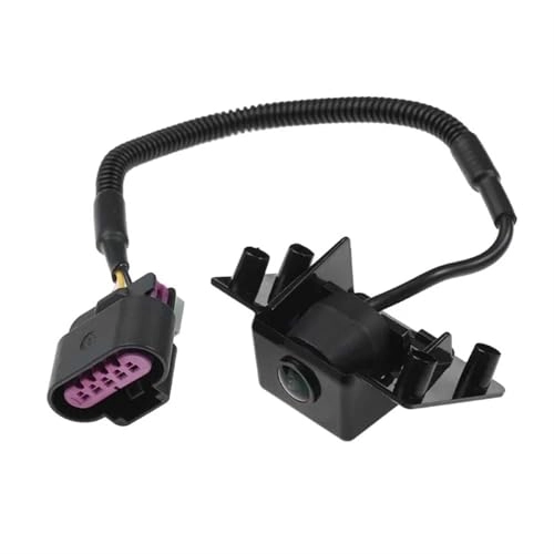 Rear View Camera - Night vision