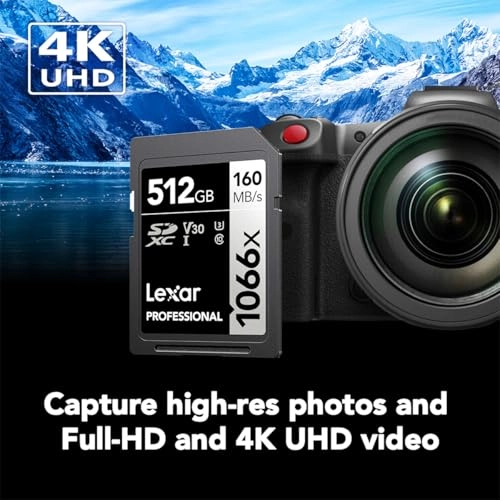 Professional 1066X - 512GB