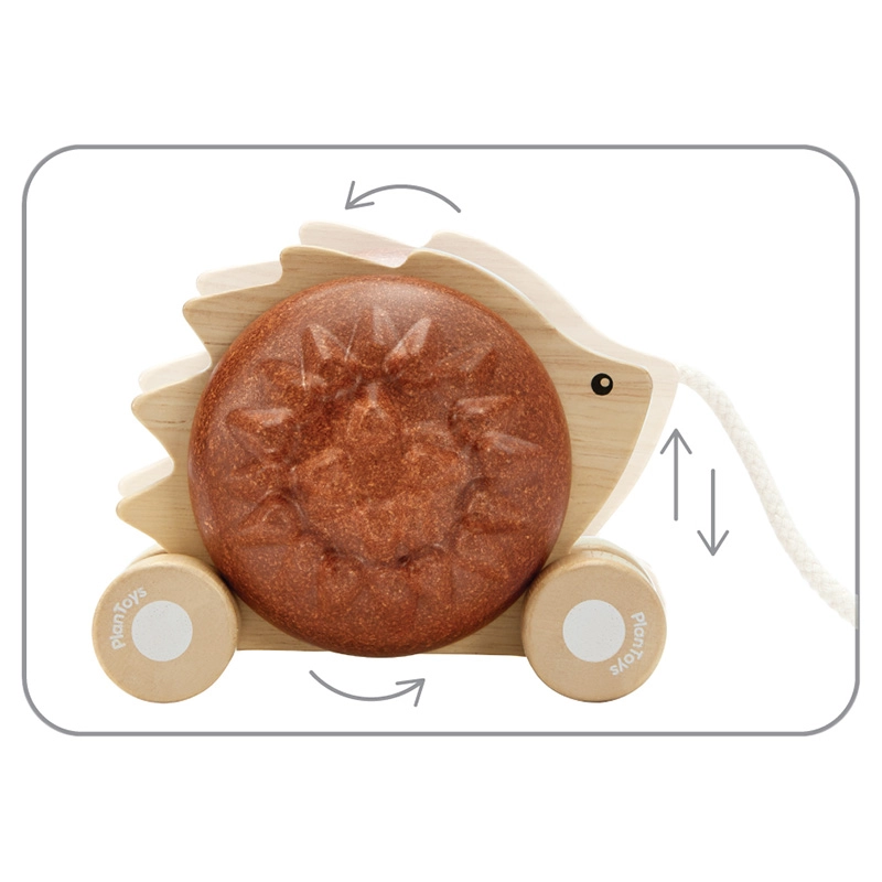 Pull-Along Hedgehog