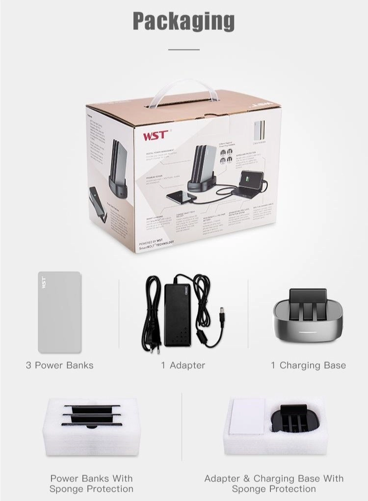 WP931B3 - 8000 mAh 20 W