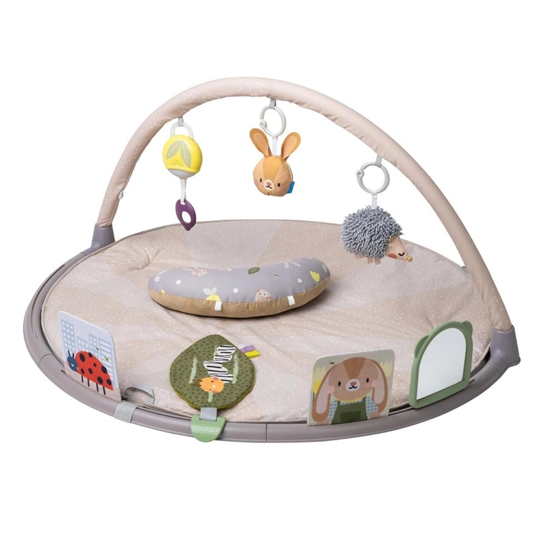 Taf Toys Tummy-time Activity Gym - Suitable for 0 month & above