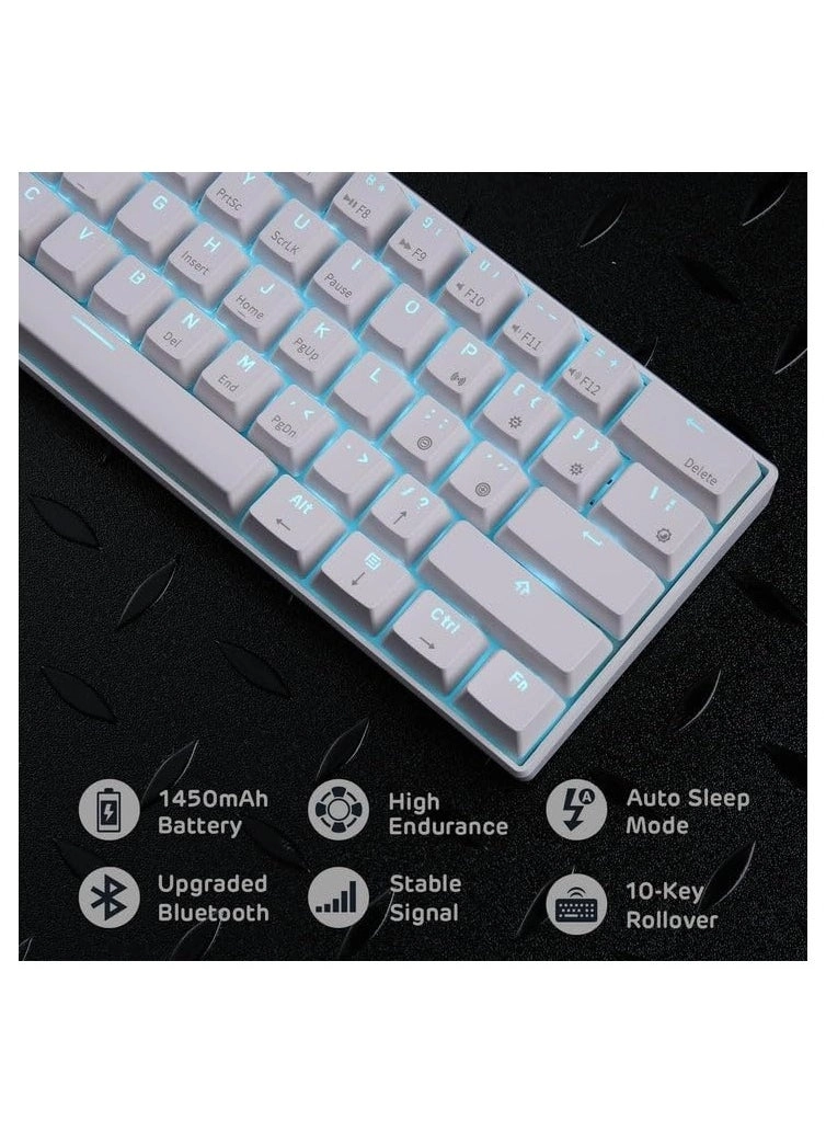 RK61 - EN Wired/Wireless