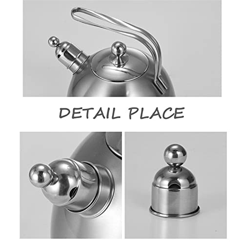 Kettle - Stainless Steel Auburn