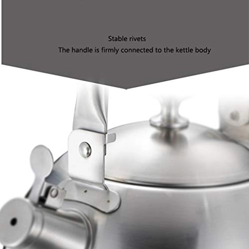 Whistling Kettle - Stainless Steel Ergonomic Handle