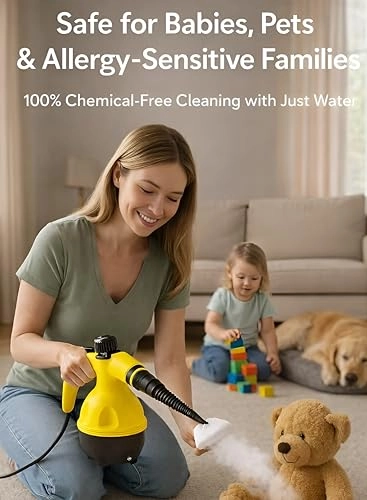 Handy Steam Cleaner - 3 Bar (300KPa)