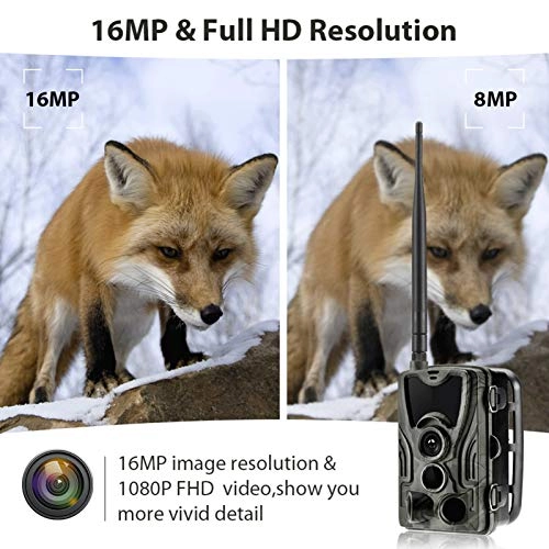 Hunting Trail Camera - 4G 16MP