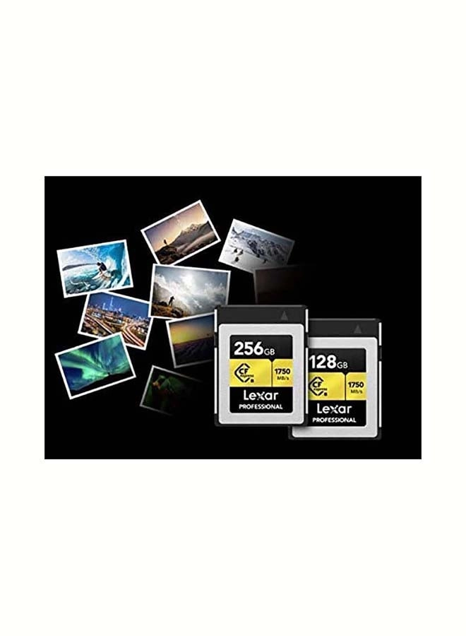 Professional Cfexpress Type B - 256GB