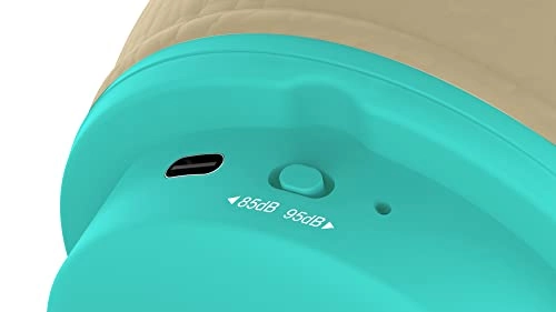 Animal Crossing Wireless Headphone