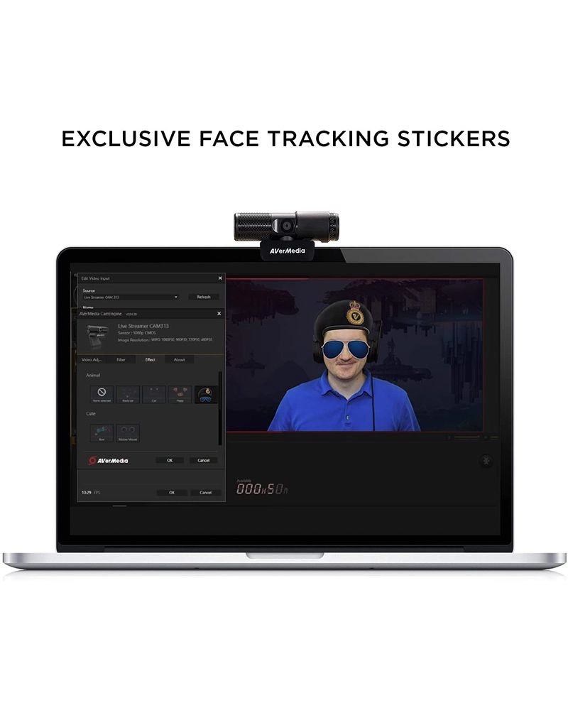 Live Streamer Cam PW313