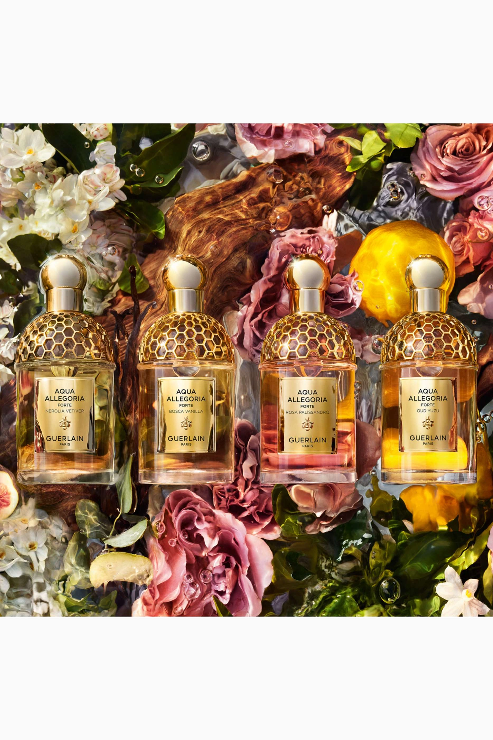 Aqua Allegoria Woody Forte Rosa Palissandro Eau de Parfum 75ml