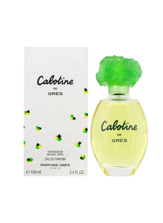 Perfume For Women Eau de Toilette 100ml