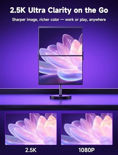 FlipGo 16" Pro - PM0205 16 Inches 2560 x 1600 Pixels