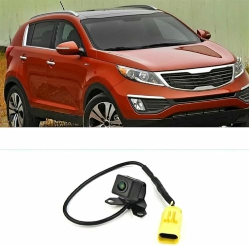 Rear Camera - Night Vision
