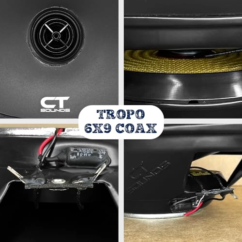 BIO-6X9-COX - 6x9 Inch 2-way coaxial