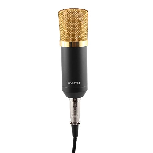 BM-700 3.5mm-Mini-Jack Microphone