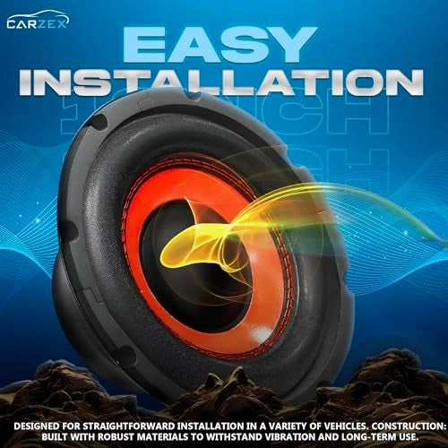 10 Inch Subwoofer - 250w RMS