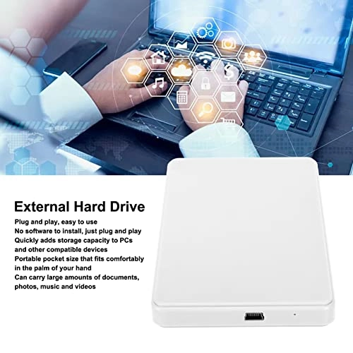 External Hard Drive - 500GB 2.5inch SSD