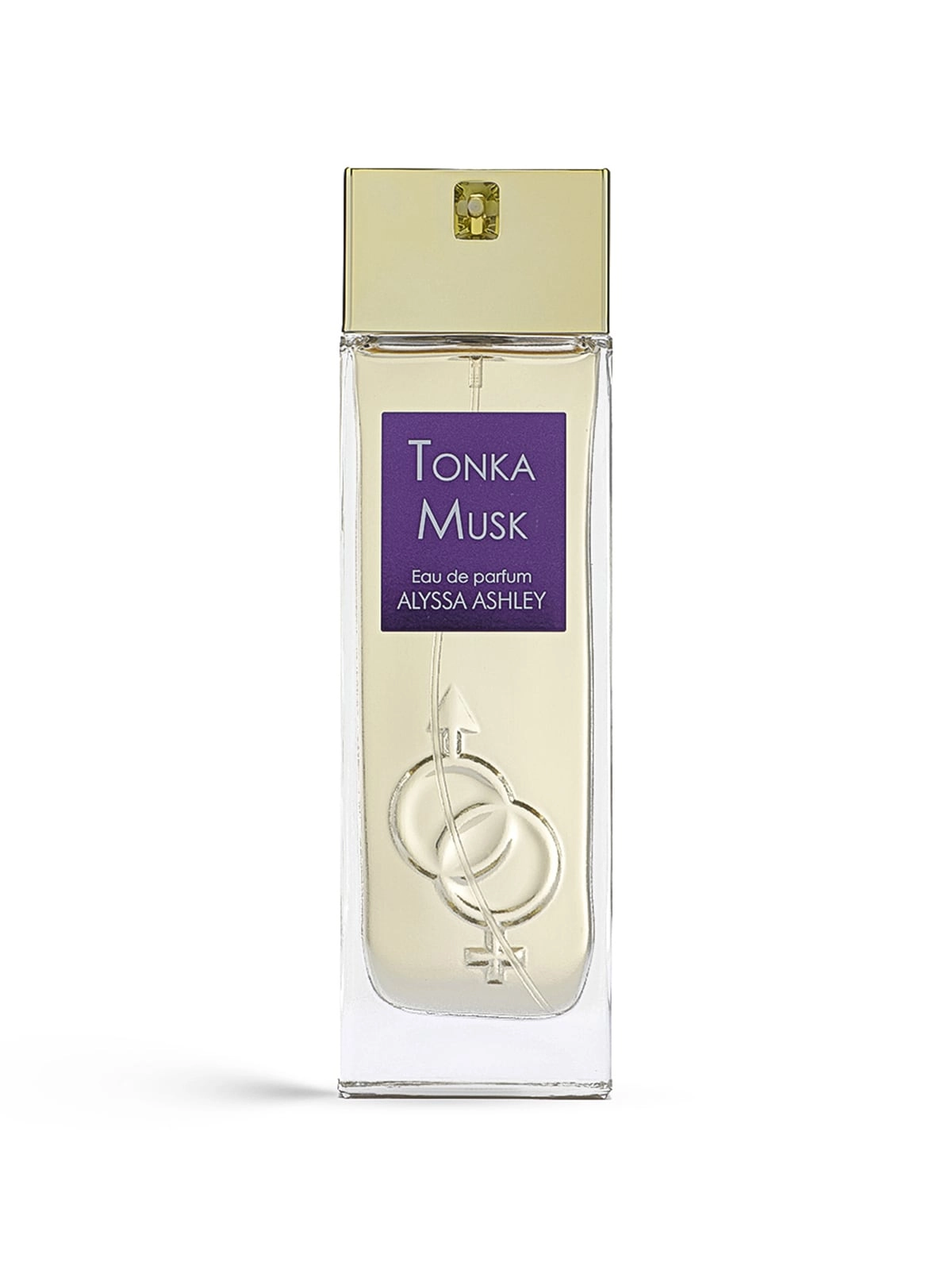 Big Brands Perfumes Tonka Musk Eau de Parfum 100 ml