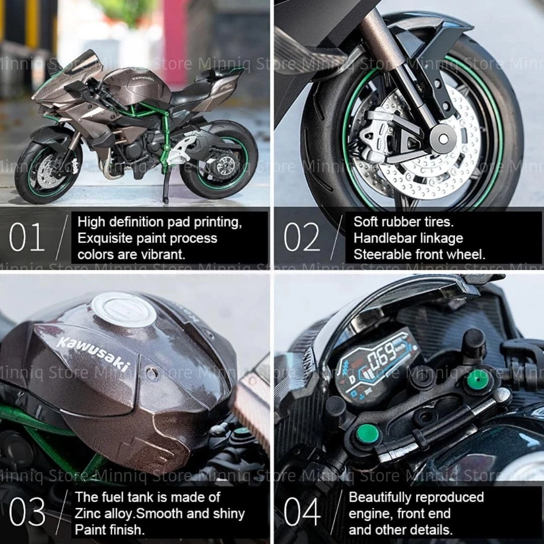 R1250GS - 1:12 1