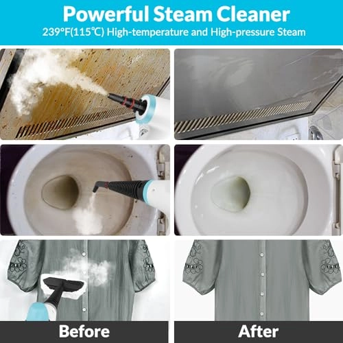 Steam Cleaner - 350 Milliliters