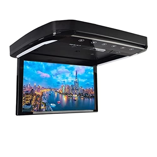 Car Ceiling Screen - 13.3 Inch