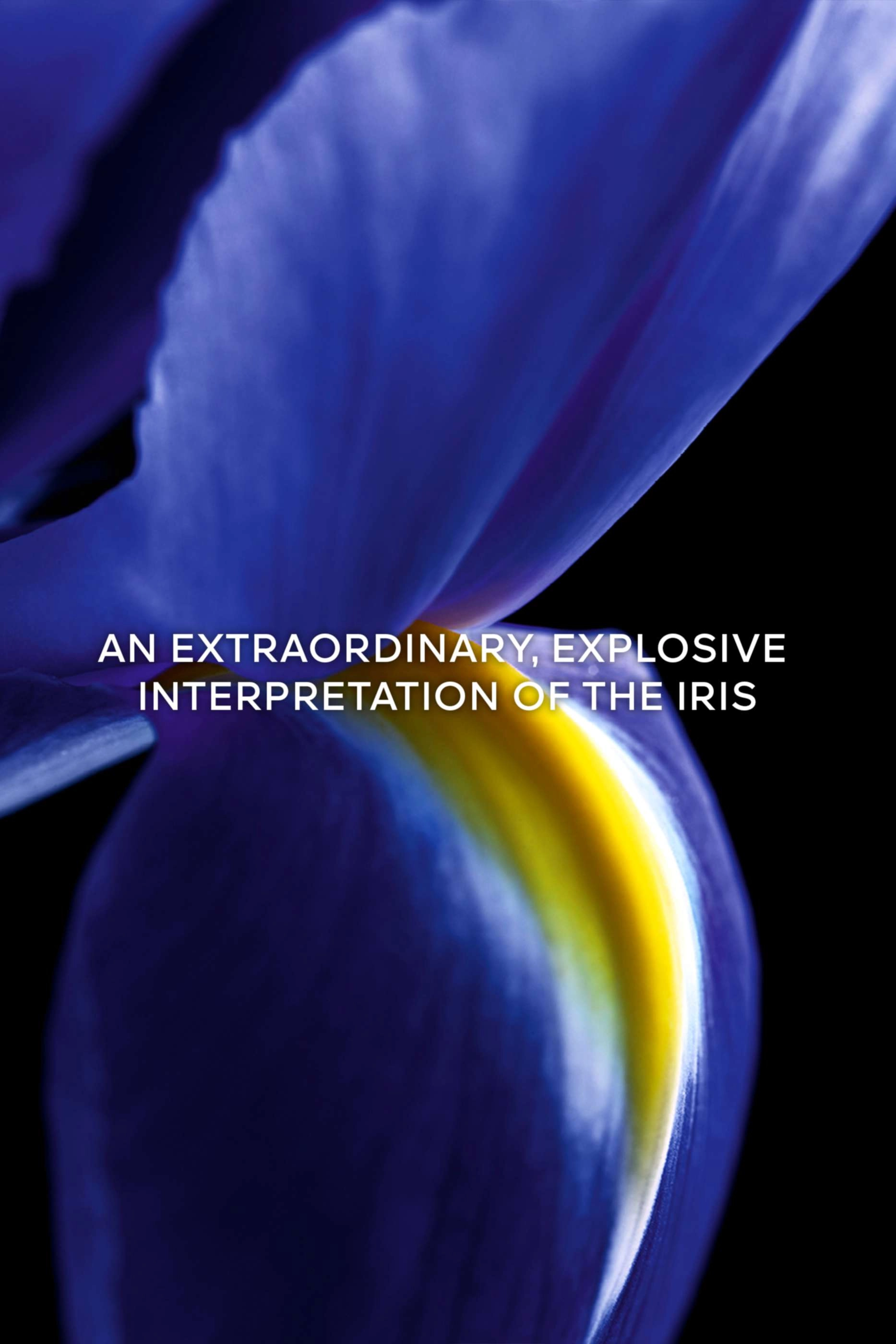 Iris Torréfié Eau de Parfum 100ml