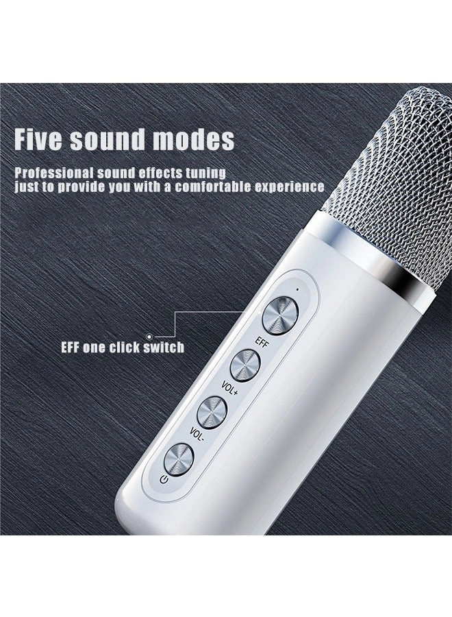 K12 Speaker - two microphone