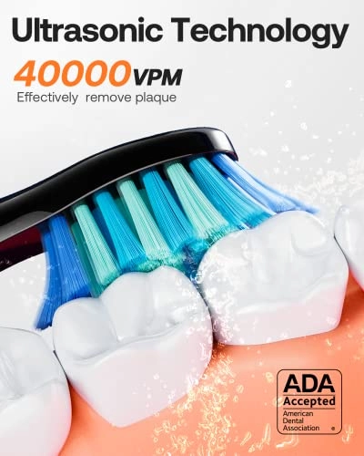 D2 - 40000 movements per minute 8 Replacement Heads 5 Modes