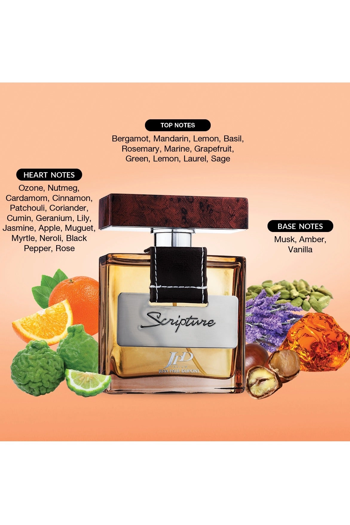 Scripture Aqueous - Eau de Toilette 100ml + Body Spray - 200ml