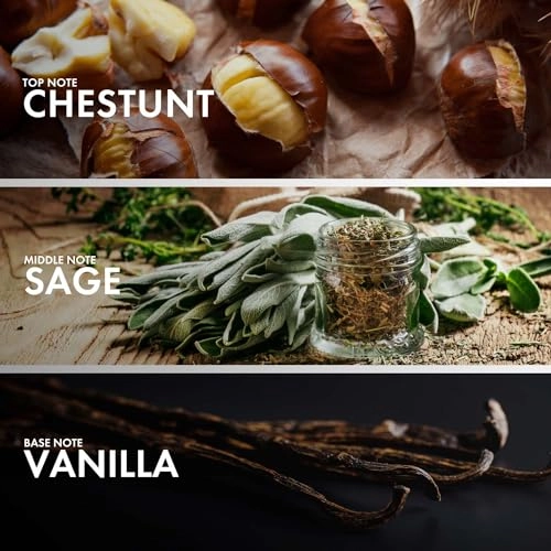 Chestnut Leather Eau de Parfum - 50 ml