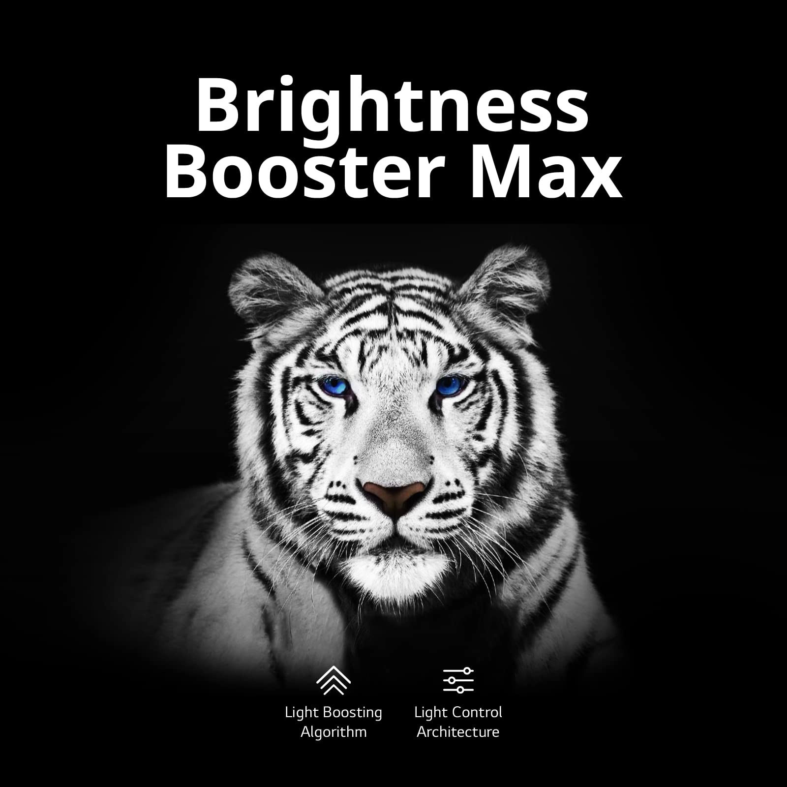 OLED77G3PUA - 77 inch