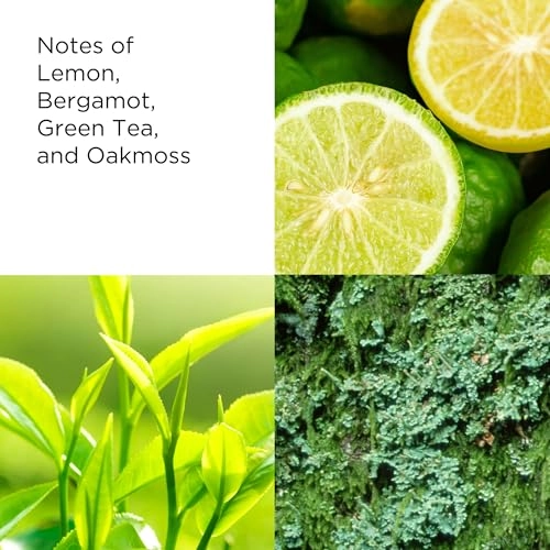 Green Tea Eau de Parfum 100 ml