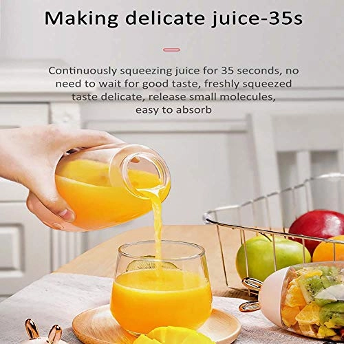 Portable Juicer - USB Charging Mini