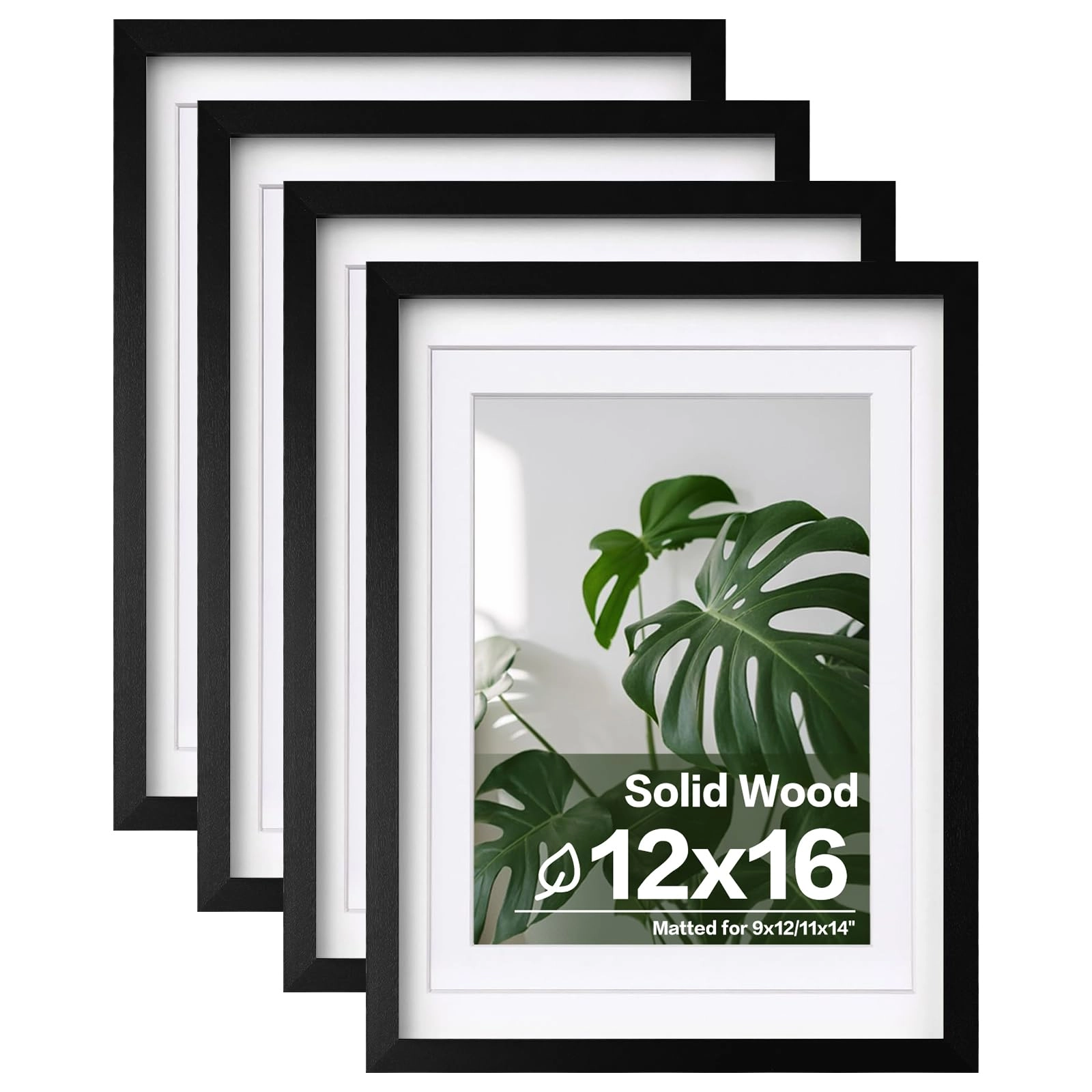 picture frames - 12x16