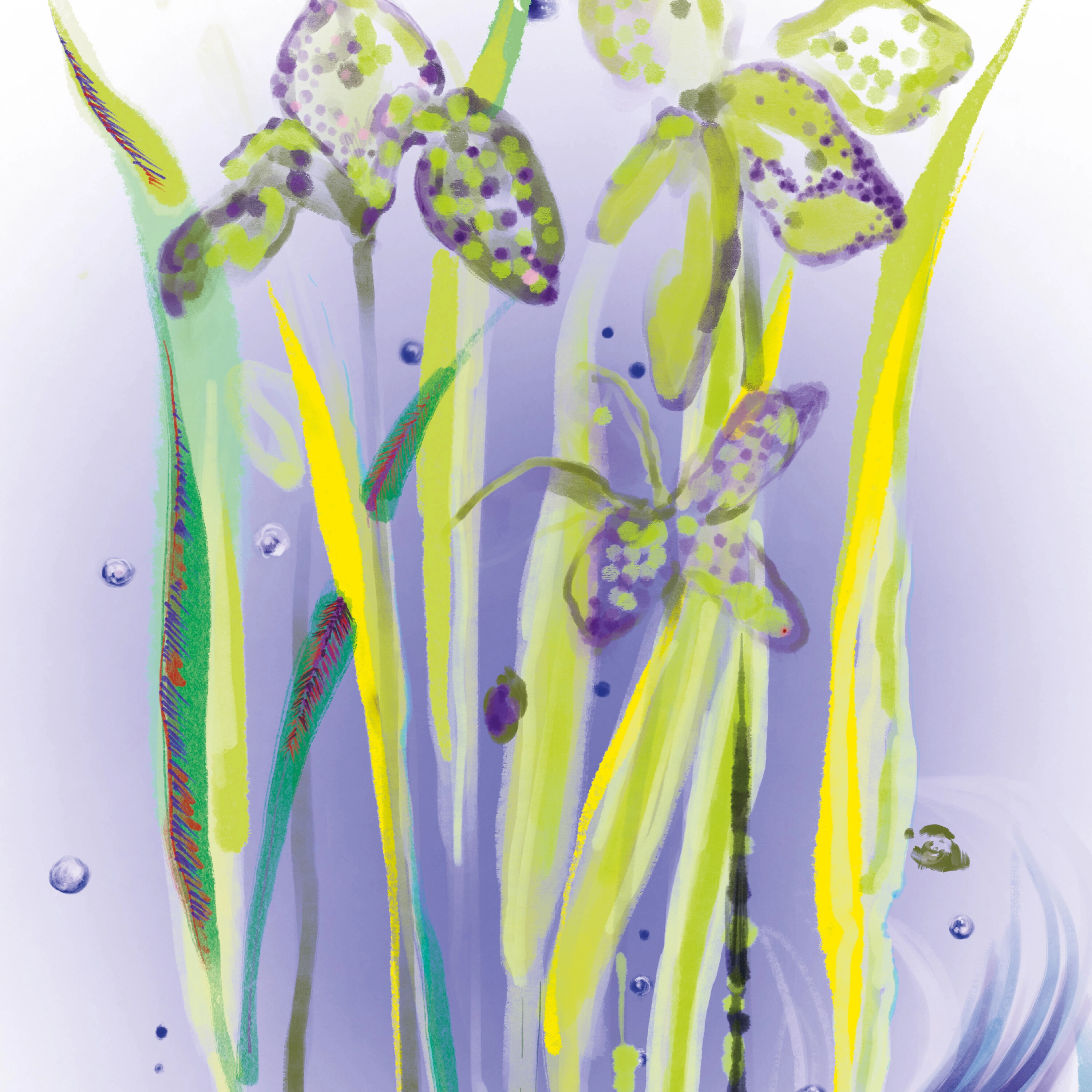 L'Eau Rêvée d'Alma Eau de Toilette 100ml