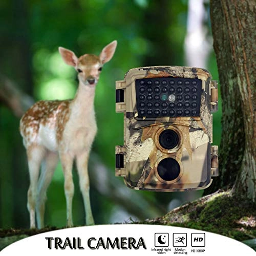 Mini Trail Camera - 12MP