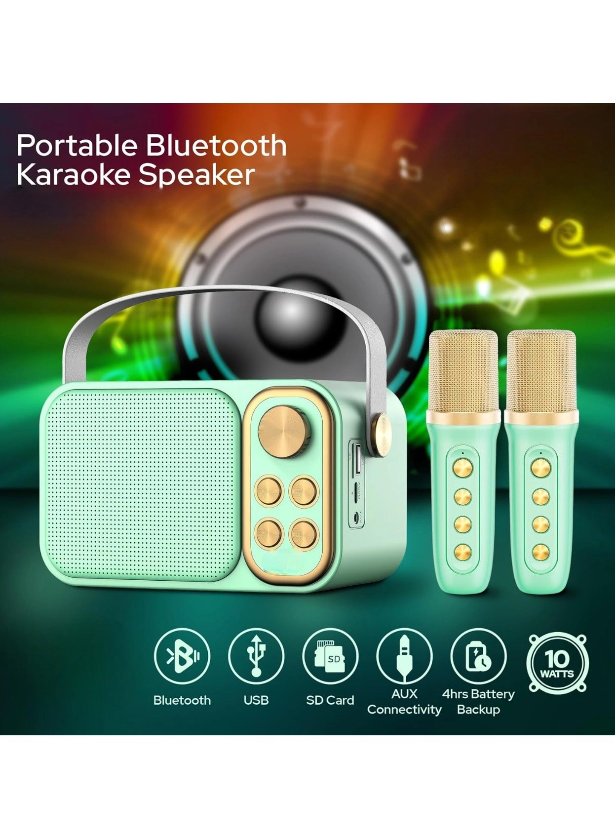 Outdoor Party Vocal Machine - 2 microphones