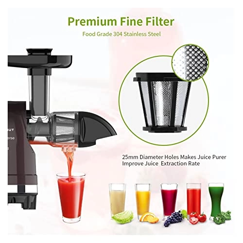 Slow Speed Juicer - 250W