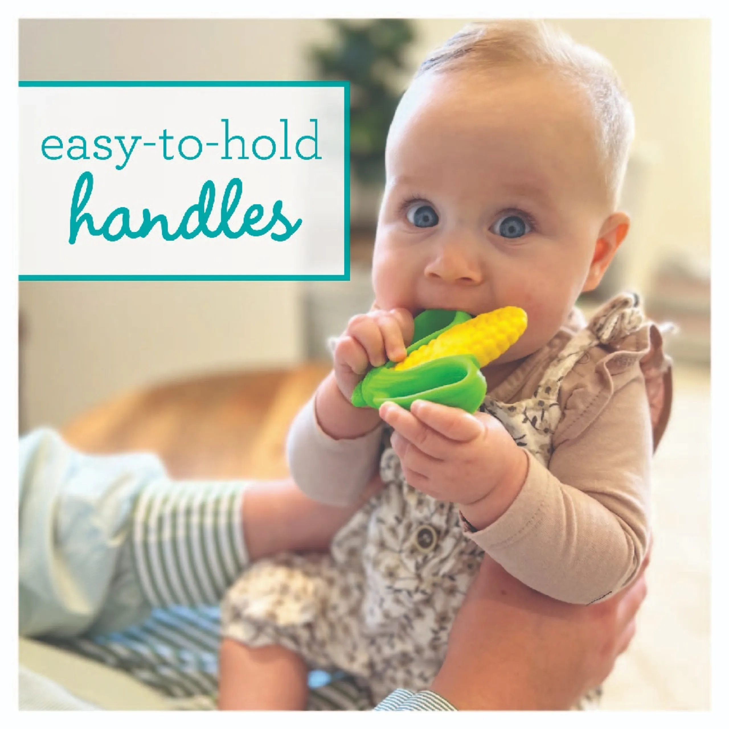 Farmers Market Teether - BPA-free silicone Gift Set