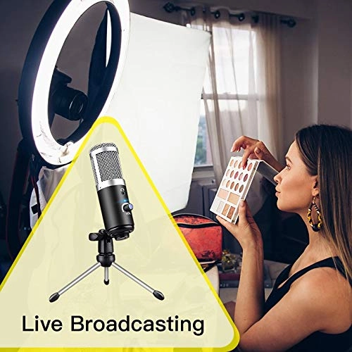 ss1/i48018 USB Microphone