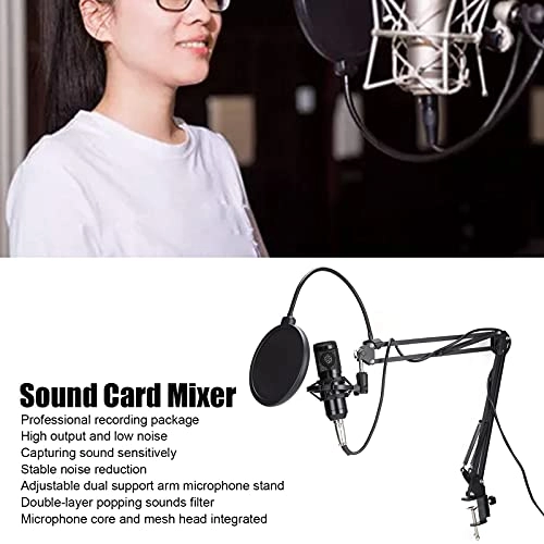 01 Condenser Wired Microphone Bundle